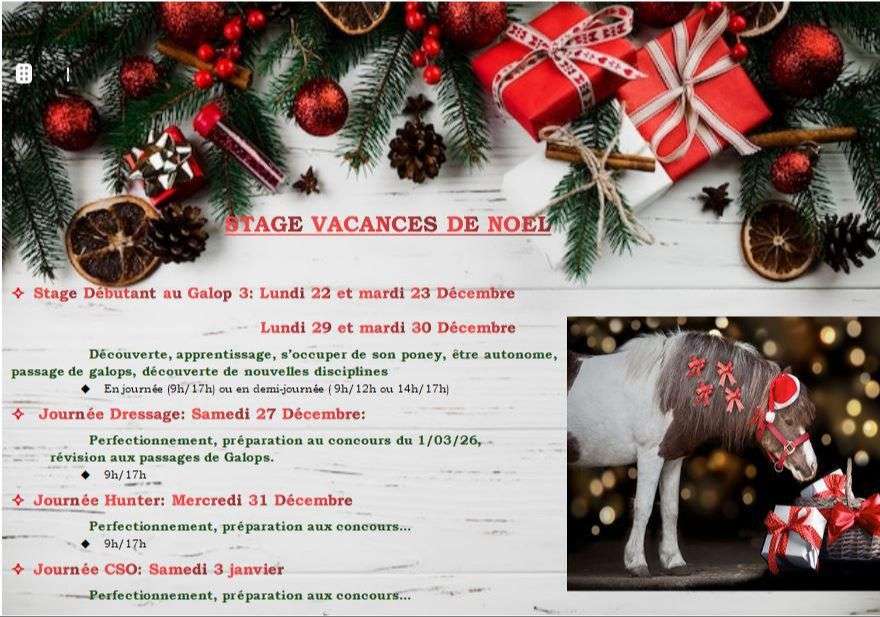 Stages de Noél 